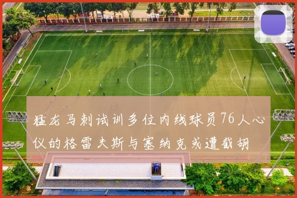 猛龙马刺试训多位内线球员76人心仪的格雷夫斯与塞纳克或遭截胡