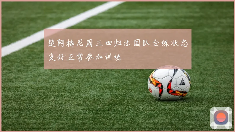 楚阿梅尼周三回归法国队合练状态良好正常参加训练